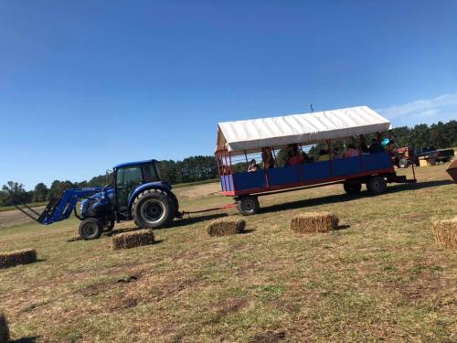 A blue tractor pulls a hayride trailer with people seated inside, set against a clear blue sky and open field.