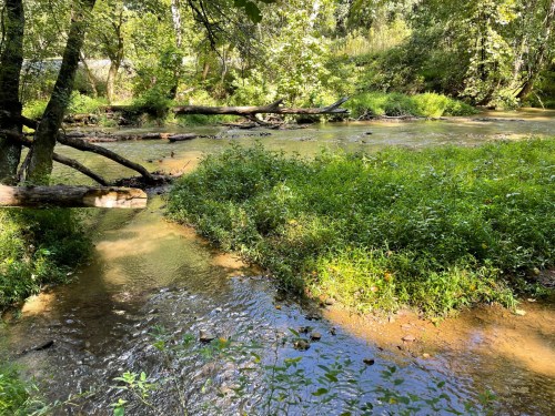 A serene stream flows through a lush green landscape, surrounded by trees and vibrant vegetation.