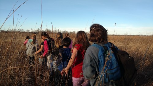 A group of children walking through tall grass in a field, with a clear blue sky in the background.