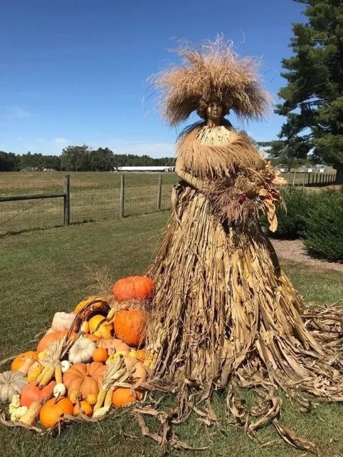 A scarecrow made of straw and corn husks stands beside a pile of colorful pumpkins in a sunny field.