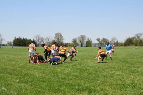 A rugby match in progress on a sunny day, with players in colorful jerseys competing on a grassy field.