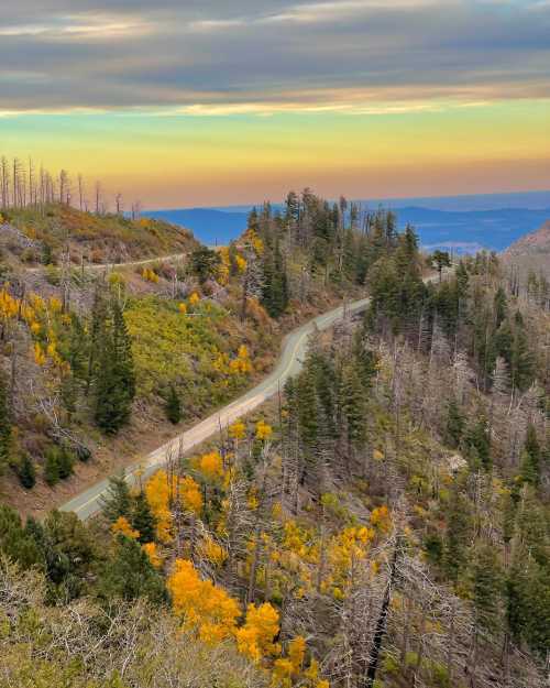 A winding road through a colorful autumn landscape with trees and a distant view under a cloudy sky.