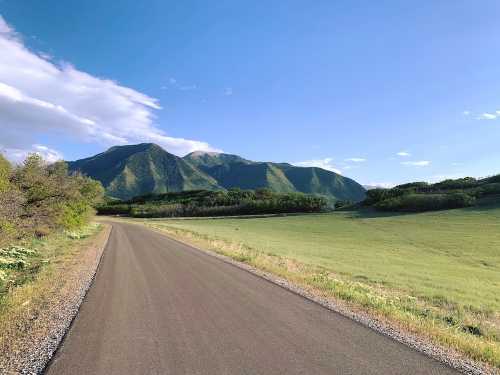 A winding road leads through lush green fields, with mountains rising in the background under a clear blue sky.