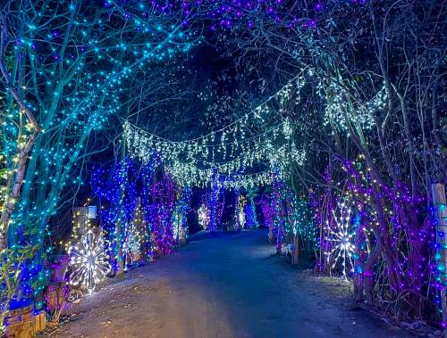A pathway illuminated by colorful holiday lights, surrounded by trees and festive decorations at night.