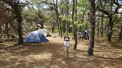 A campsite in a wooded area with a tent, picnic table, and a sign that says "No Fires." Trees surround the site.