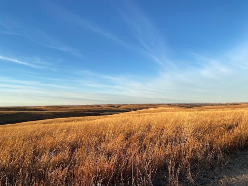 Golden grasslands stretch under a blue sky with wispy clouds, creating a serene landscape.