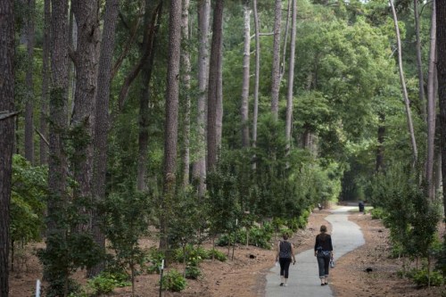 Two people walk along a winding path through a lush, green forest with tall trees on either side.