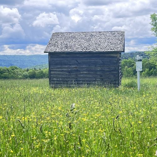 A rustic wooden shed stands in a field of wildflowers, with mountains and cloudy skies in the background.