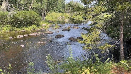 A serene river flows through a lush green landscape, with rocks scattered in the water and trees lining the banks.