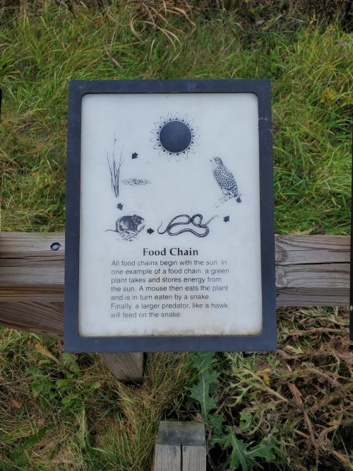 Sign explaining the food chain, illustrating a plant, mouse, snake, owl, and sun, with a brief description.