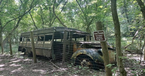 An old, rusty bus is overgrown with vegetation in a wooded area, next to a sign warning of sensitive frequencies.