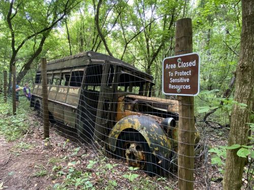 An old, rusted bus partially hidden in a forest, next to a sign that reads "Area Closed To Protect Sensitive Resources."
