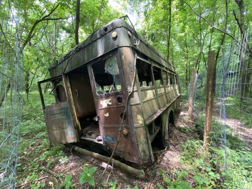 An abandoned, rusted bus partially hidden in a lush green forest, surrounded by trees and overgrown vegetation.