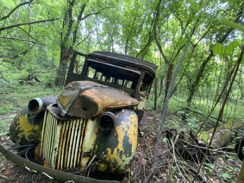 An old, rusted car partially hidden in a lush green forest, surrounded by trees and overgrown vegetation.