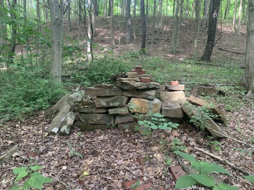 A stone structure partially covered by leaves and surrounded by trees in a wooded area.