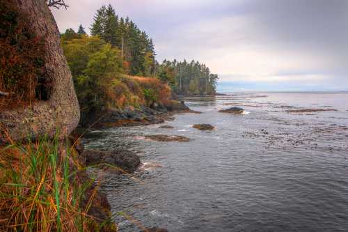 A serene coastal scene with rocky shores, lush greenery, and calm waters under a cloudy sky.