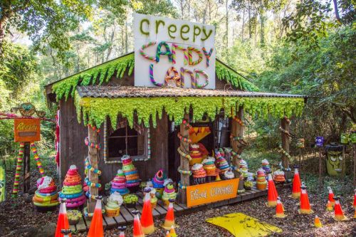 A whimsical, colorful candy-themed shack surrounded by trees, featuring candy decorations and orange cones.