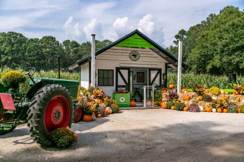 A charming farm stand with a green tractor, surrounded by pumpkins and autumn decorations, set against a lush backdrop.