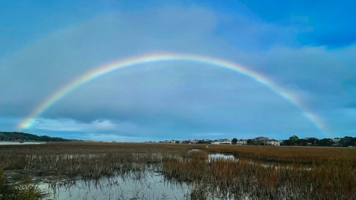 A vibrant rainbow arcs over a marshy landscape with tall grasses and a cloudy blue sky in the background.