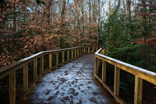 A wooden boardwalk winding through a forest with trees and a light dusting of snow on the ground.