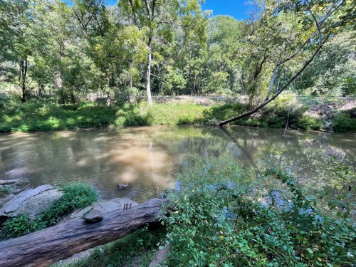 A serene river scene surrounded by lush greenery and trees, with a log resting on the bank under a clear blue sky.