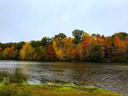 A serene river scene with vibrant autumn trees reflecting in the water under a cloudy sky.