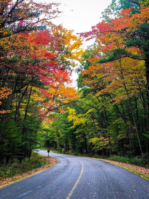 A winding road surrounded by vibrant autumn foliage in shades of red, orange, and yellow.