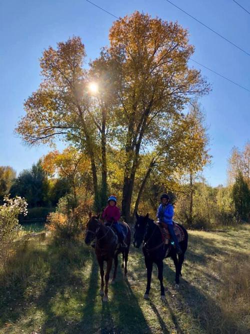 Two riders on horseback stand under a large tree with autumn leaves, sunlight filtering through the branches.