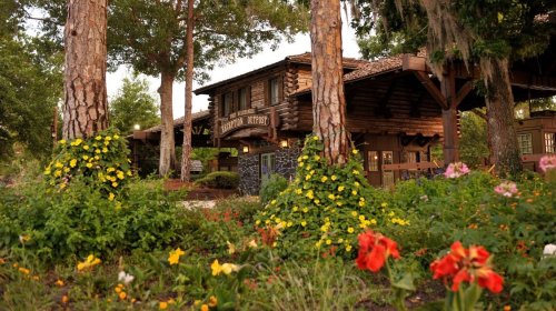 A rustic wooden lodge surrounded by vibrant flowers and tall trees in a serene outdoor setting.