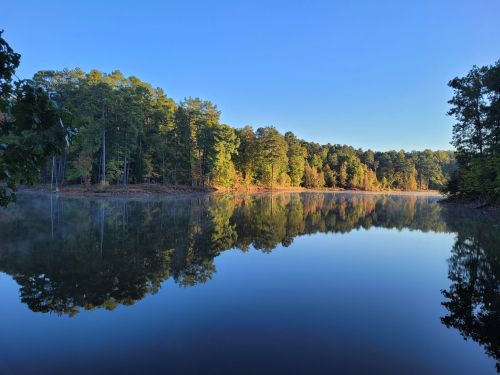 A serene lake surrounded by lush trees, reflecting the clear blue sky and morning light.