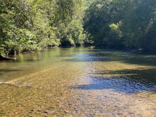 A serene river flows through a lush green landscape, with clear water revealing pebbles beneath the surface.