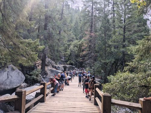 A wooden bridge in a forest, crowded with people enjoying nature and the surrounding greenery.