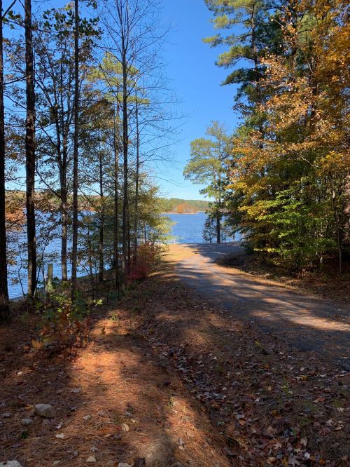 A serene path lined with trees leads to a calm lake under a clear blue sky, surrounded by autumn foliage.