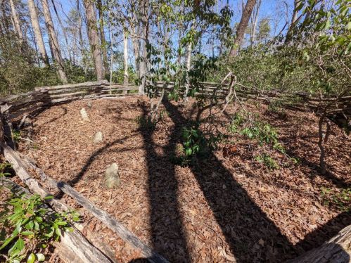 A circular area surrounded by a wooden fence, with scattered stones and leaf litter, under a clear blue sky.