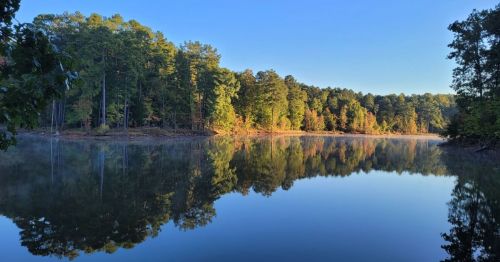 A serene lake surrounded by lush green trees, reflecting the clear blue sky and morning light.