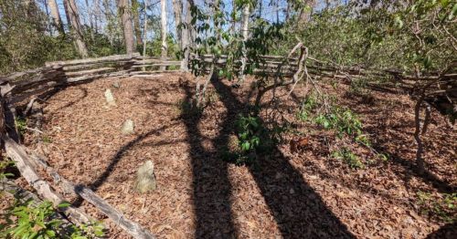A circular area in a wooded setting, surrounded by a wooden fence, with scattered leaves and shadows from trees.