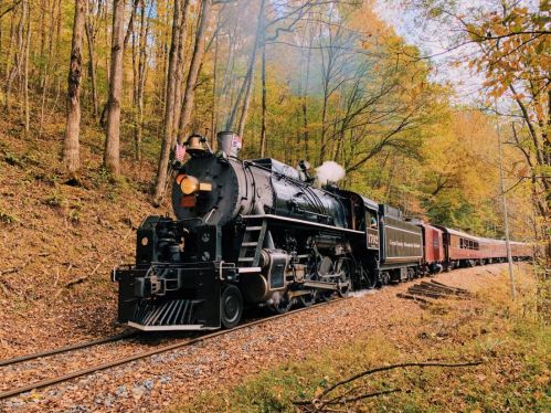 A vintage steam train travels through a colorful autumn forest, with trees displaying vibrant fall foliage.