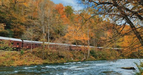 A train travels alongside a river, surrounded by vibrant autumn foliage and trees.