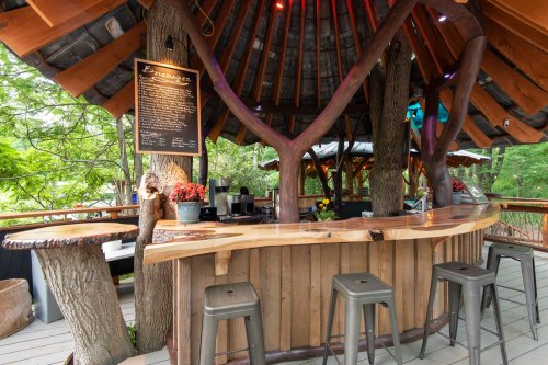 A rustic bar with a wooden counter and metal stools, surrounded by trees and a cozy, open-air structure.