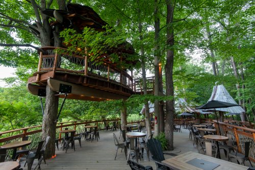 A unique treehouse restaurant nestled among green trees, featuring wooden decks and outdoor seating.