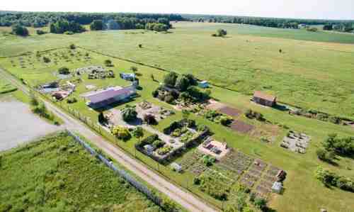 Aerial view of a large garden with various plots, surrounded by open fields and trees under a clear blue sky.