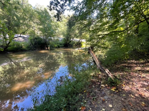 A serene riverbank scene with lush green trees reflecting in the calm water under bright sunlight.