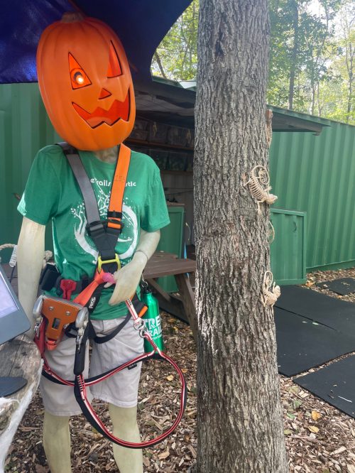 A scarecrow with a pumpkin head stands by a tree, wearing a green shirt and harness, with tools and a playful atmosphere.