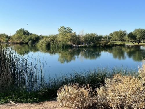 A serene lake surrounded by lush greenery and tall grasses under a clear blue sky. Reflections shimmer on the water.