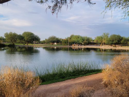 A serene lake surrounded by greenery and shrubs, with a cloudy sky reflecting on the water's surface.