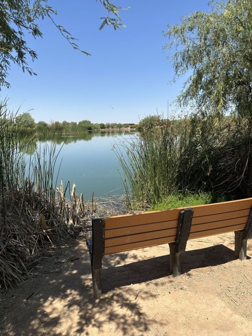 A serene view of a calm lake surrounded by greenery, with a wooden bench facing the water under a clear blue sky.