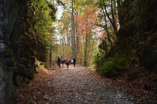 Four people walk along a leaf-covered path surrounded by trees with autumn foliage.