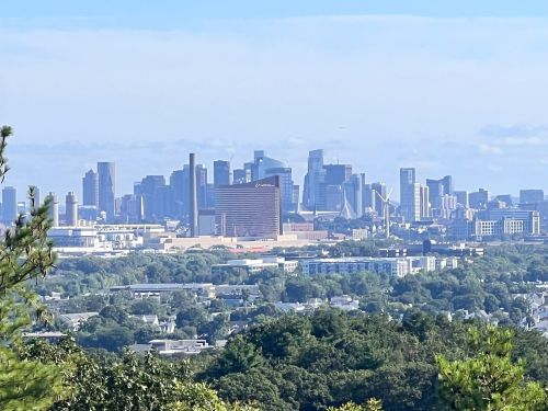 A panoramic view of a city skyline with modern buildings and greenery in the foreground under a clear blue sky.