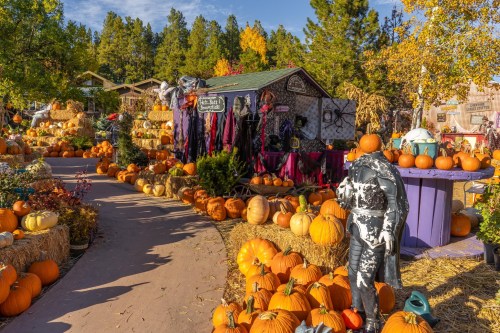 A vibrant pumpkin patch with hay bales, autumn decorations, and a spooky display near a rustic shed.