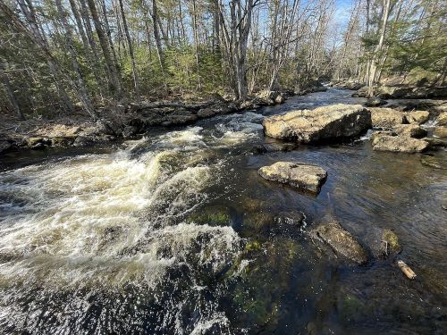 A flowing river with rocky banks, surrounded by trees and sunlight filtering through the branches.